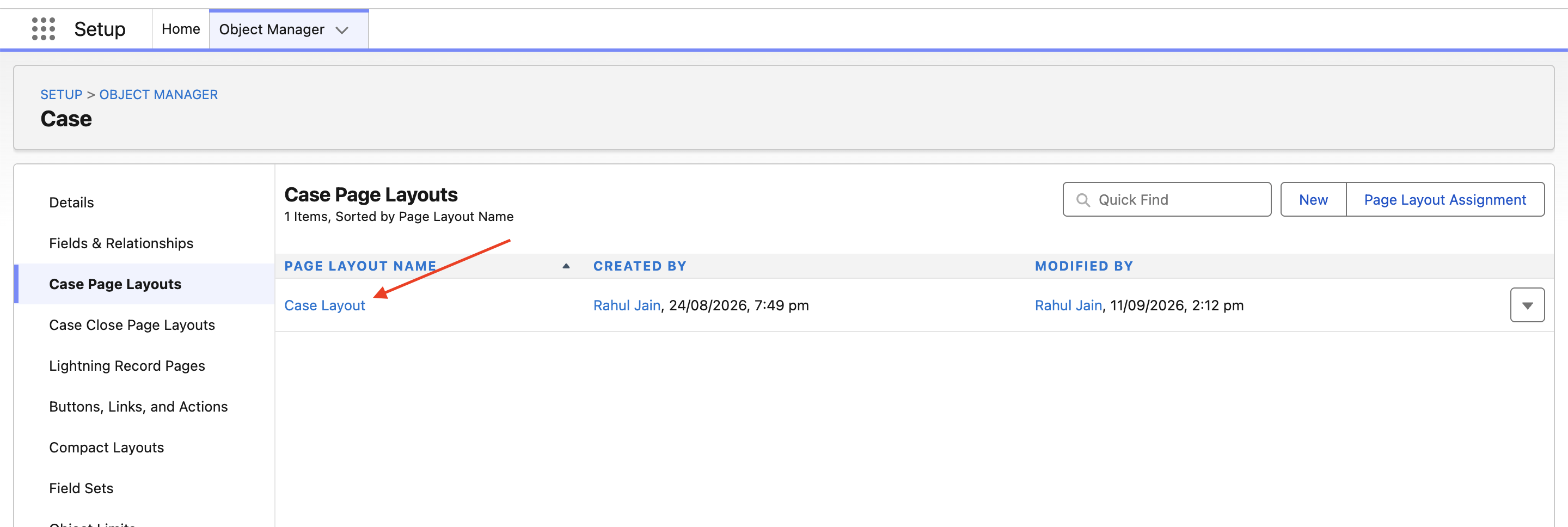 Case page layout editor