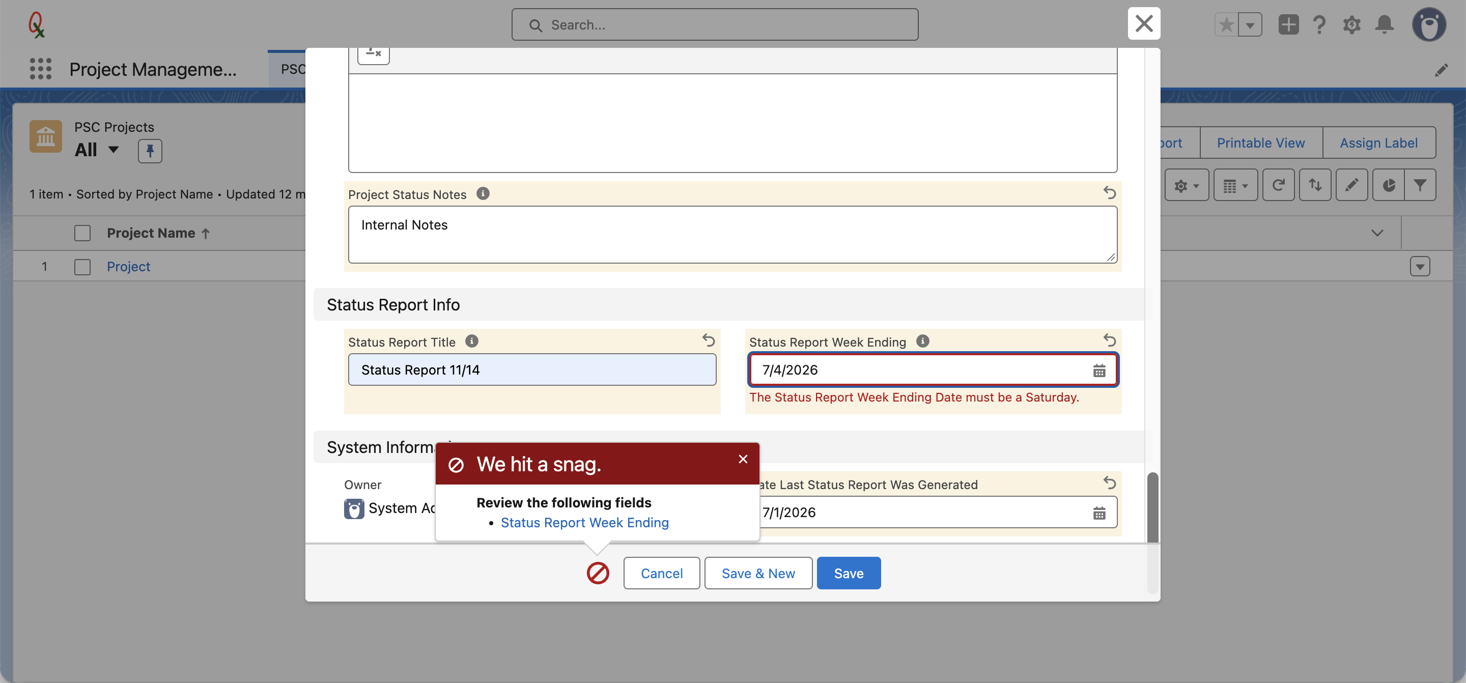 Red error banner reading We hit a snag for an invalid Status Report Week Ending date