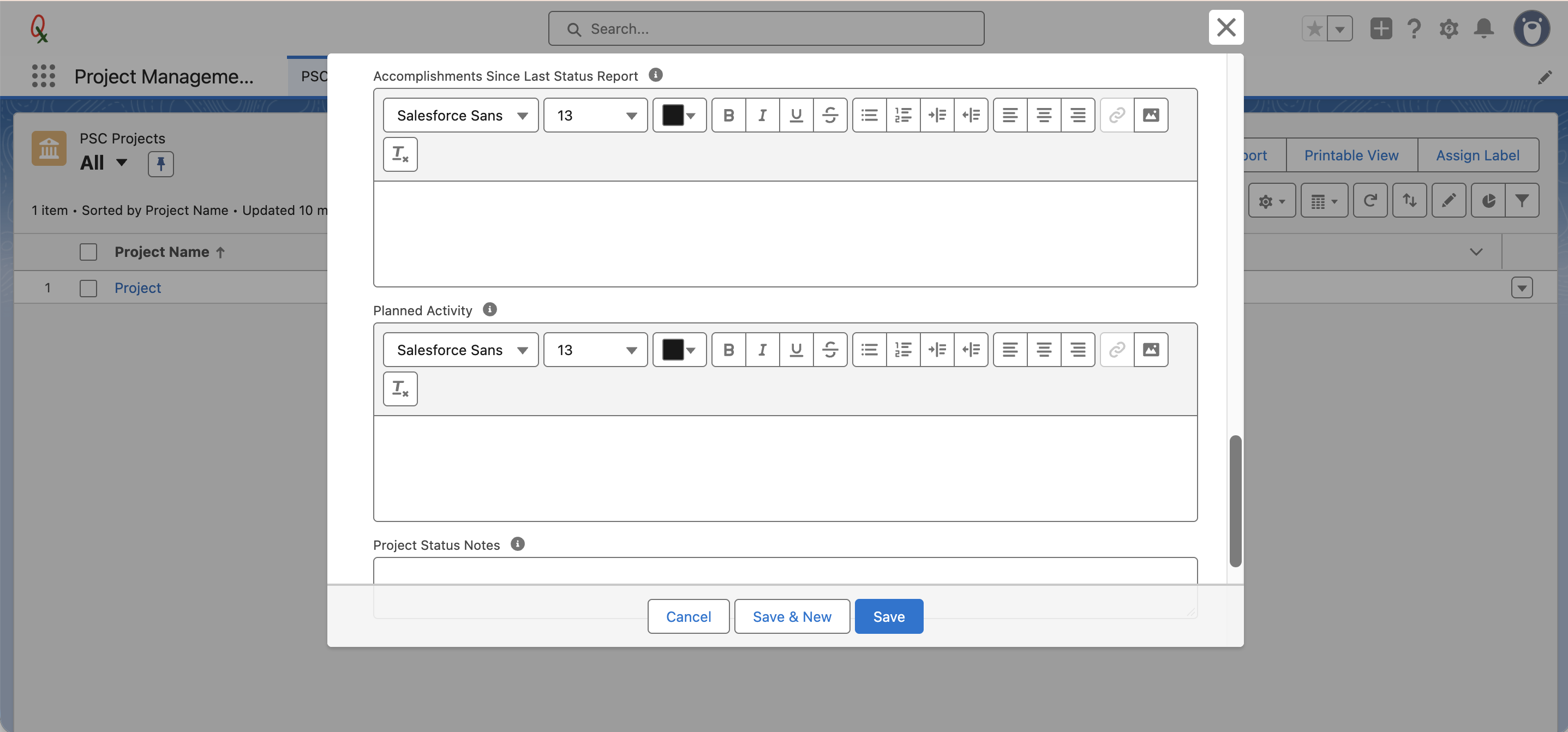 Accomplishments and Planned Activity rich text editors