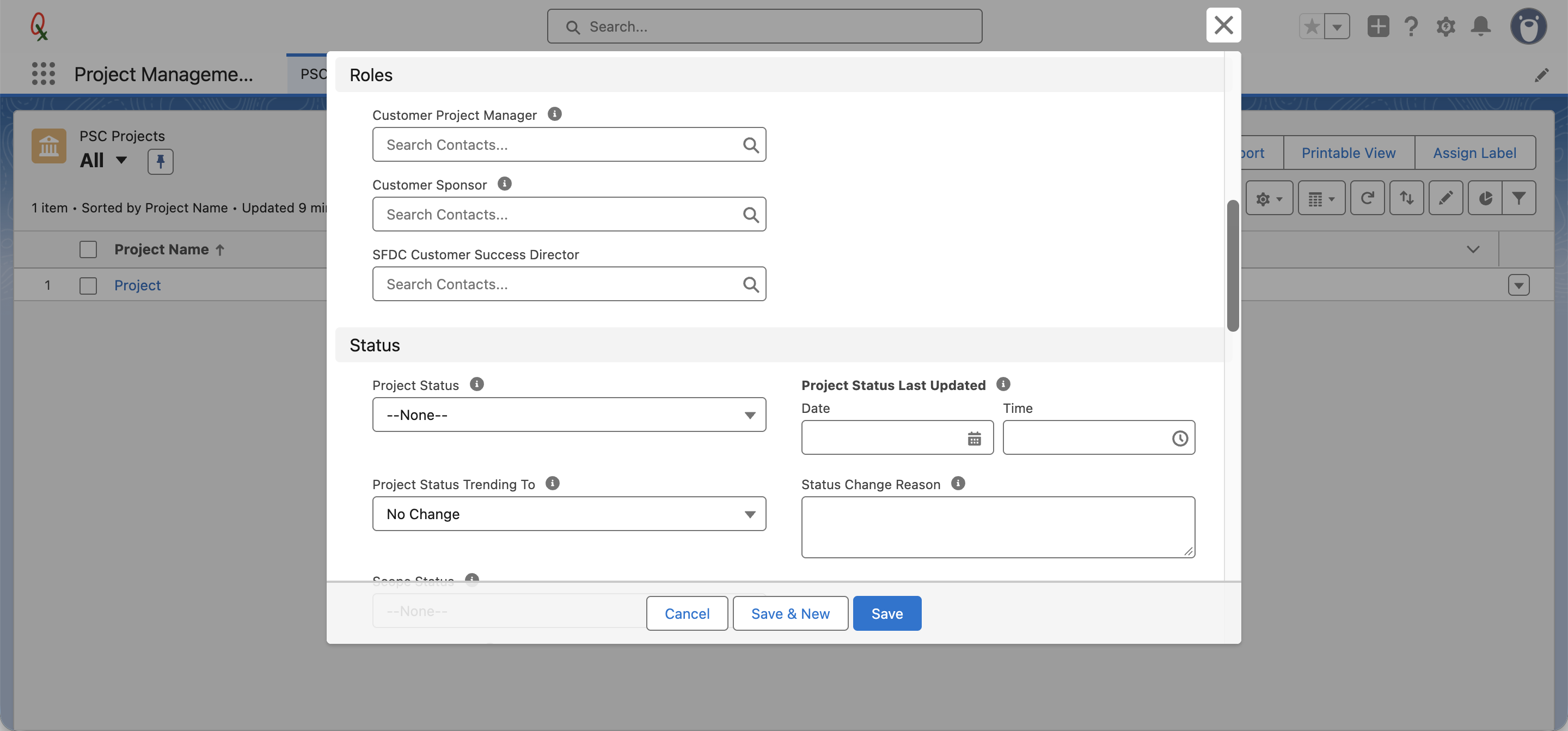 Roles and Status sections at the bottom of the New PSC Project form