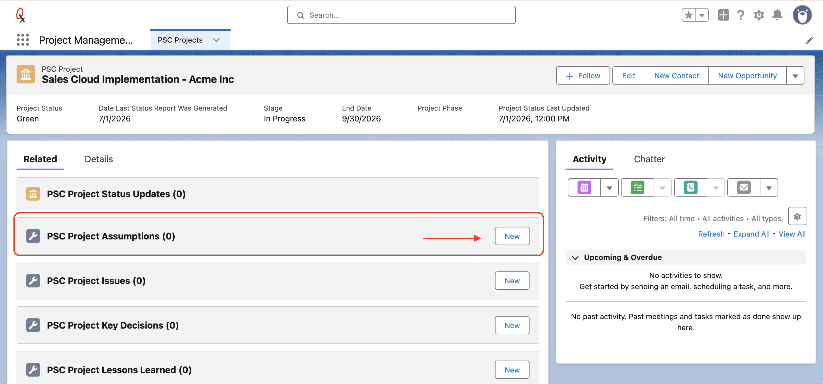 PSC Project Assumptions related list showing zero records and a New button